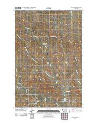 Physic Creek Montana Historical topographic map, 1:24000 scale, 7.5 X 7.5 Minute, Year 2011