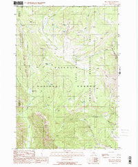 Pika Point Montana Historical topographic map, 1:24000 scale, 7.5 X 7.5 Minute, Year 1988