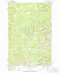 Pikes Peak Montana Historical topographic map, 1:24000 scale, 7.5 X 7.5 Minute, Year 1971