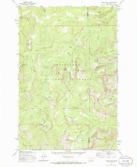Pikes Peak Montana Historical topographic map, 1:24000 scale, 7.5 X 7.5 Minute, Year 1971