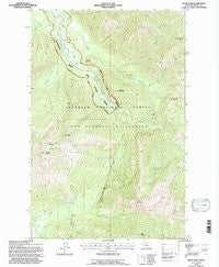 Pilot Peak Montana Historical topographic map, 1:24000 scale, 7.5 X 7.5 Minute, Year 1994