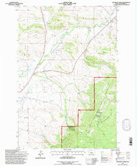 Pinchout Creek Montana Historical topographic map, 1:24000 scale, 7.5 X 7.5 Minute, Year 1995