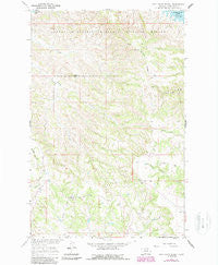 Pine Grove School Montana Historical topographic map, 1:24000 scale, 7.5 X 7.5 Minute, Year 1965