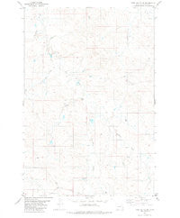 Piney Butte SW Montana Historical topographic map, 1:24000 scale, 7.5 X 7.5 Minute, Year 1981