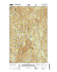 Pink Mountain Montana Current topographic map, 1:24000 scale, 7.5 X 7.5 Minute, Year 2014