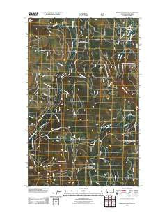 Pinkham Mountain Montana Historical topographic map, 1:24000 scale, 7.5 X 7.5 Minute, Year 2011