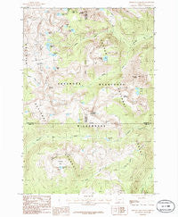Pinnacle Mountain Montana Historical topographic map, 1:24000 scale, 7.5 X 7.5 Minute, Year 1986
