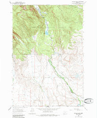 Pintler Lake Montana Historical topographic map, 1:24000 scale, 7.5 X 7.5 Minute, Year 1962