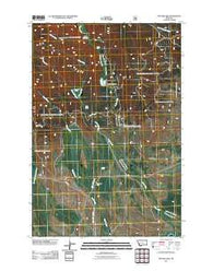 Pintler Lake Montana Historical topographic map, 1:24000 scale, 7.5 X 7.5 Minute, Year 2011