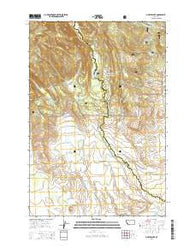 Pintler Lake Montana Current topographic map, 1:24000 scale, 7.5 X 7.5 Minute, Year 2014
