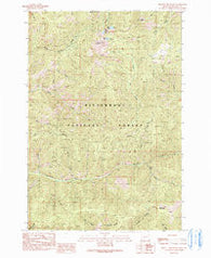Piquett Mountain Montana Historical topographic map, 1:24000 scale, 7.5 X 7.5 Minute, Year 1991