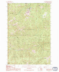 Piquett Mountain Montana Historical topographic map, 1:24000 scale, 7.5 X 7.5 Minute, Year 1991