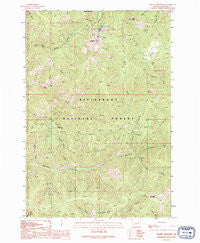 Piquett Mountain Montana Historical topographic map, 1:24000 scale, 7.5 X 7.5 Minute, Year 1991
