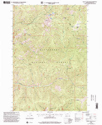 Piquett Mountain Montana Historical topographic map, 1:24000 scale, 7.5 X 7.5 Minute, Year 1998
