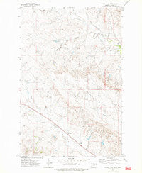 Poverty Flat West Montana Historical topographic map, 1:24000 scale, 7.5 X 7.5 Minute, Year 1972