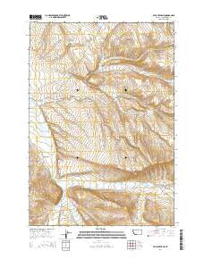 Price Creek NE Montana Current topographic map, 1:24000 scale, 7.5 X 7.5 Minute, Year 2014