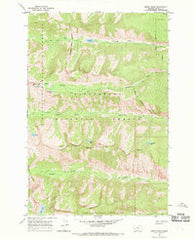 Printz Ridge Montana Historical topographic map, 1:24000 scale, 7.5 X 7.5 Minute, Year 1966