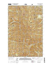 Priscilla Peak Montana Current topographic map, 1:24000 scale, 7.5 X 7.5 Minute, Year 2014
