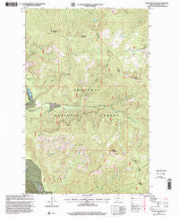 Pulpit Mountain Montana Historical topographic map, 1:24000 scale, 7.5 X 7.5 Minute, Year 1997