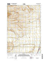 Racetrack Montana Current topographic map, 1:24000 scale, 7.5 X 7.5 Minute, Year 2014
