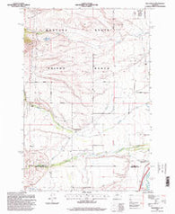 Racetrack Montana Historical topographic map, 1:24000 scale, 7.5 X 7.5 Minute, Year 1996