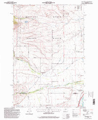 Racetrack Montana Historical topographic map, 1:24000 scale, 7.5 X 7.5 Minute, Year 1996