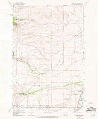 Racetrack Montana Historical topographic map, 1:24000 scale, 7.5 X 7.5 Minute, Year 1967