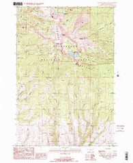Ramshorn Mountain Montana Historical topographic map, 1:24000 scale, 7.5 X 7.5 Minute, Year 1988