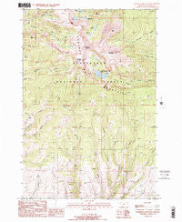 Ramshorn Mountain Montana Historical topographic map, 1:24000 scale, 7.5 X 7.5 Minute, Year 1988