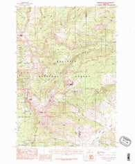 Ramshorn Peak Montana Historical topographic map, 1:24000 scale, 7.5 X 7.5 Minute, Year 1986