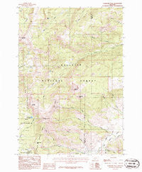 Ramshorn Peak Montana Historical topographic map, 1:24000 scale, 7.5 X 7.5 Minute, Year 1986