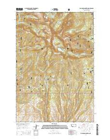 Ramshorn Mountain Montana Current topographic map, 1:24000 scale, 7.5 X 7.5 Minute, Year 2014