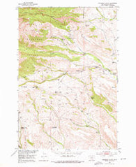 Raspberry Butte Montana Historical topographic map, 1:24000 scale, 7.5 X 7.5 Minute, Year 1951