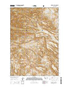 Raspberry Butte Montana Current topographic map, 1:24000 scale, 7.5 X 7.5 Minute, Year 2014