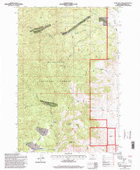Ratio Mountain Montana Historical topographic map, 1:24000 scale, 7.5 X 7.5 Minute, Year 1996