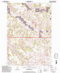 Reanus Cone Montana Historical topographic map, 1:24000 scale, 7.5 X 7.5 Minute, Year 1995