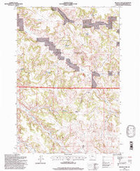 Reanus Cone Montana Historical topographic map, 1:24000 scale, 7.5 X 7.5 Minute, Year 1995