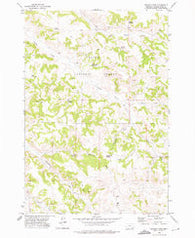 Reanus Cone Montana Historical topographic map, 1:24000 scale, 7.5 X 7.5 Minute, Year 1972