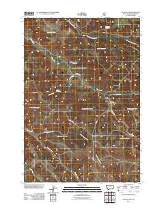 Reanus Cone Montana Historical topographic map, 1:24000 scale, 7.5 X 7.5 Minute, Year 2011