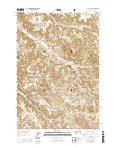 Reanus Cone Montana Current topographic map, 1:24000 scale, 7.5 X 7.5 Minute, Year 2014