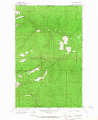 Red Mountain Montana Historical topographic map, 1:24000 scale, 7.5 X 7.5 Minute, Year 1963