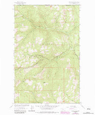 Red Mountain Montana Historical topographic map, 1:24000 scale, 7.5 X 7.5 Minute, Year 1963