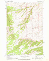 Red Springs Montana Historical topographic map, 1:24000 scale, 7.5 X 7.5 Minute, Year 1969