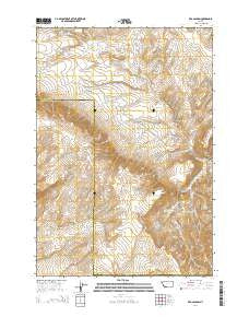 Red Canyon Montana Current topographic map, 1:24000 scale, 7.5 X 7.5 Minute, Year 2014