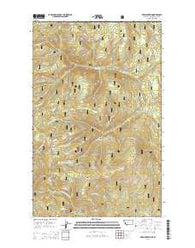Red Mountain Montana Current topographic map, 1:24000 scale, 7.5 X 7.5 Minute, Year 2014