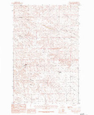 Regal Coulee Montana Historical topographic map, 1:24000 scale, 7.5 X 7.5 Minute, Year 1984