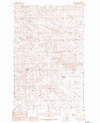 Regal Coulee Montana Historical topographic map, 1:24000 scale, 7.5 X 7.5 Minute, Year 1984