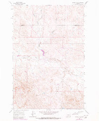 Regnal Coulee Montana Historical topographic map, 1:24000 scale, 7.5 X 7.5 Minute, Year 1963