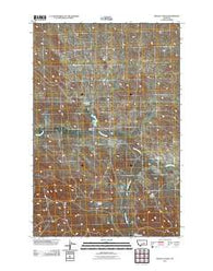 Regnal Coulee Montana Historical topographic map, 1:24000 scale, 7.5 X 7.5 Minute, Year 2011