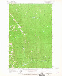 Richards Mountain Montana Historical topographic map, 1:24000 scale, 7.5 X 7.5 Minute, Year 1963